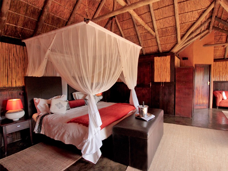 5-parks-live-unforgettable-safari-south-africa-inverdoorn