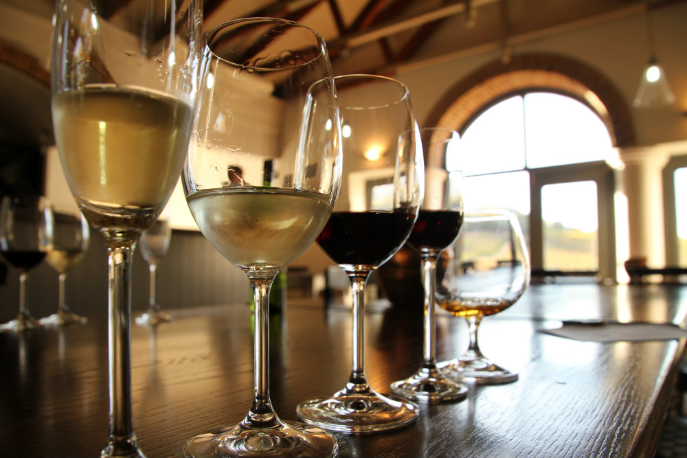 best-cape-town-10-pictures-wine-estate