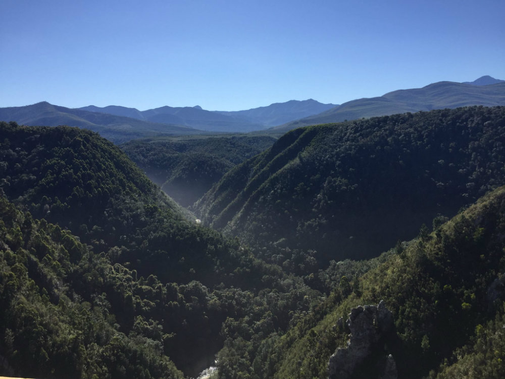 bungee-jump-tsitsikamma-national-park-bloukrans-river-bridge-1-1000