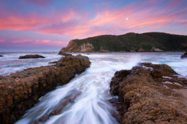 Wildlife & Safari - 2 Days