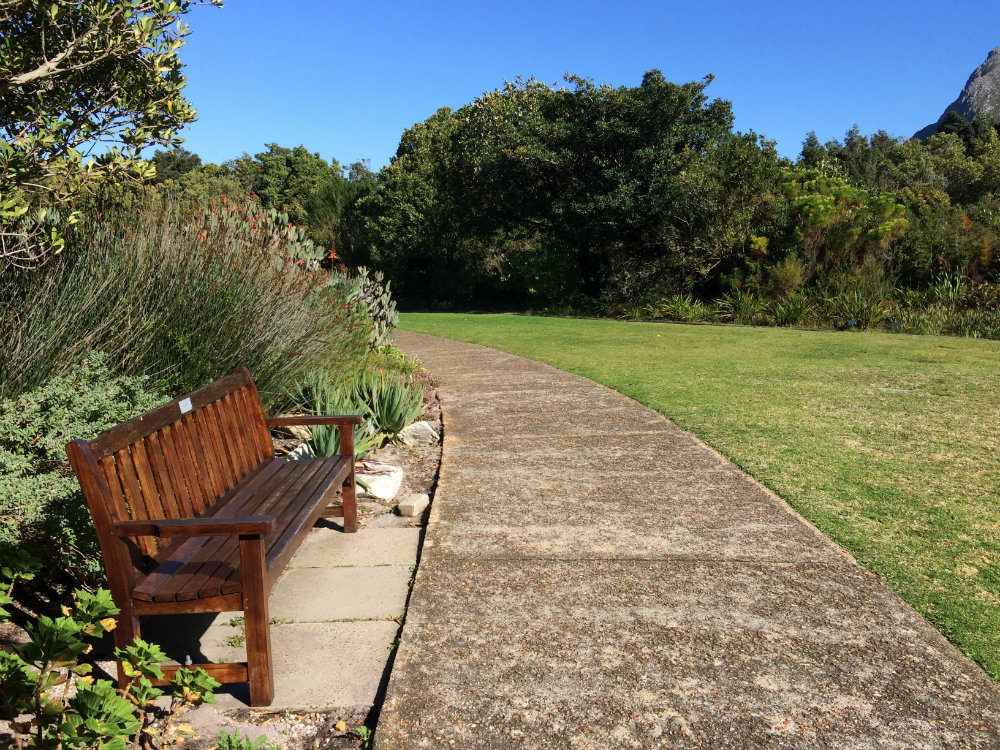 harold-porter-national-botanical-garden-whale-route-10