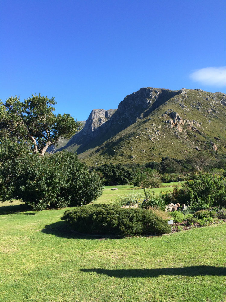 harold-porter-national-botanical-garden-whale-route-2