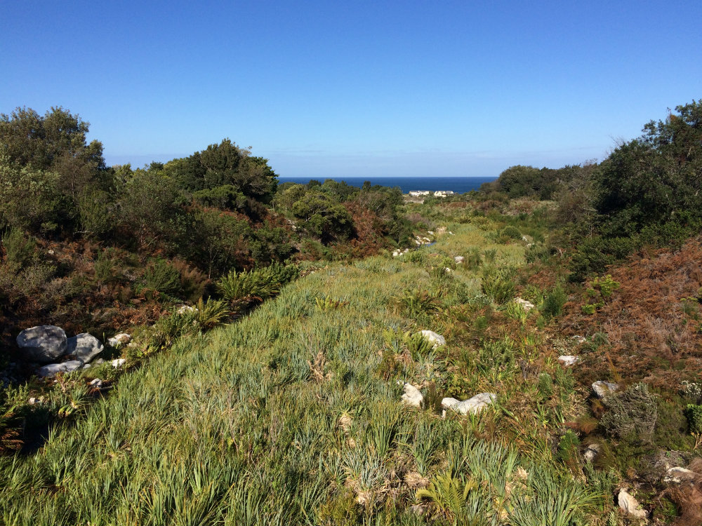 harold-porter-national-botanical-garden-whale-route-3