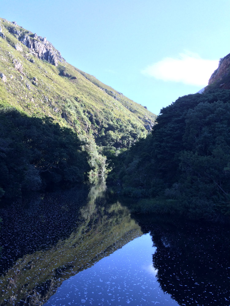 harold-porter-national-botanical-garden-whale-route-4