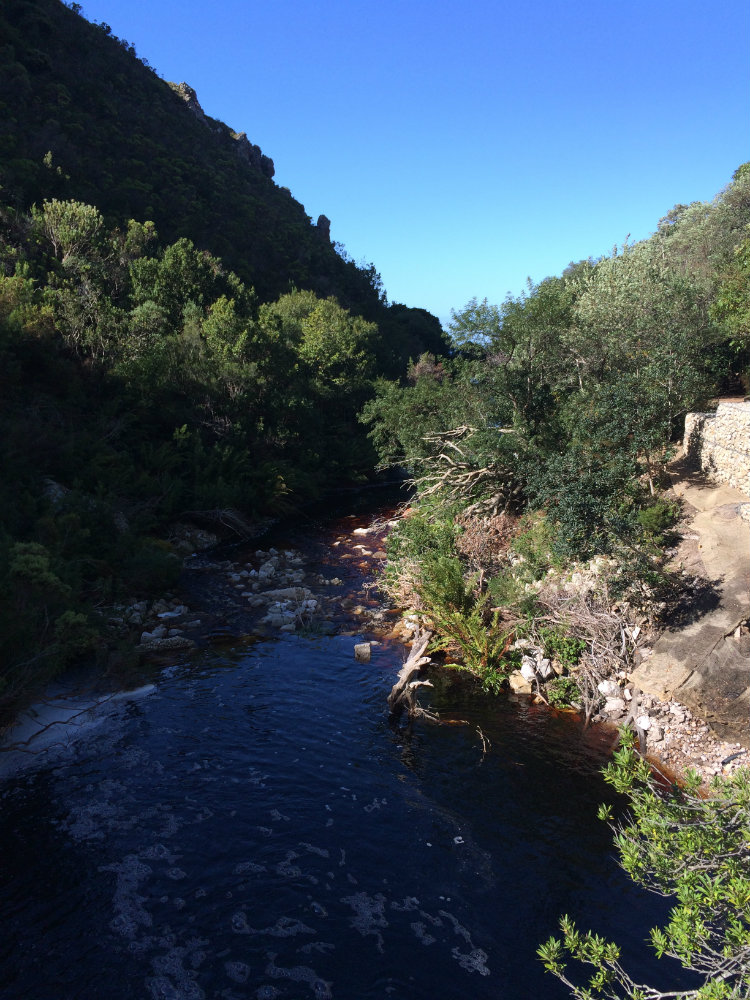 harold-porter-national-botanical-garden-whale-route-6