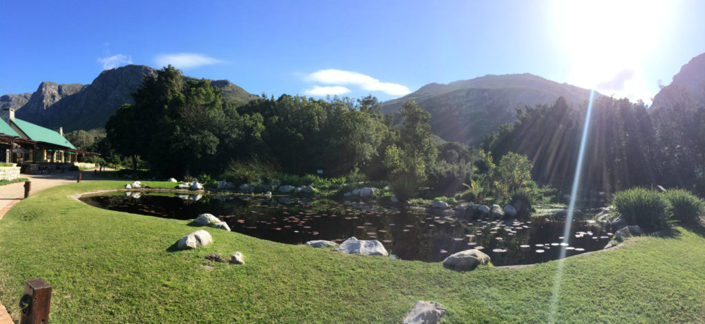 whale-route-from-cape-town-to-hermanus-harold-porter-garden