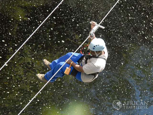 zipline-activity-original-garden-route