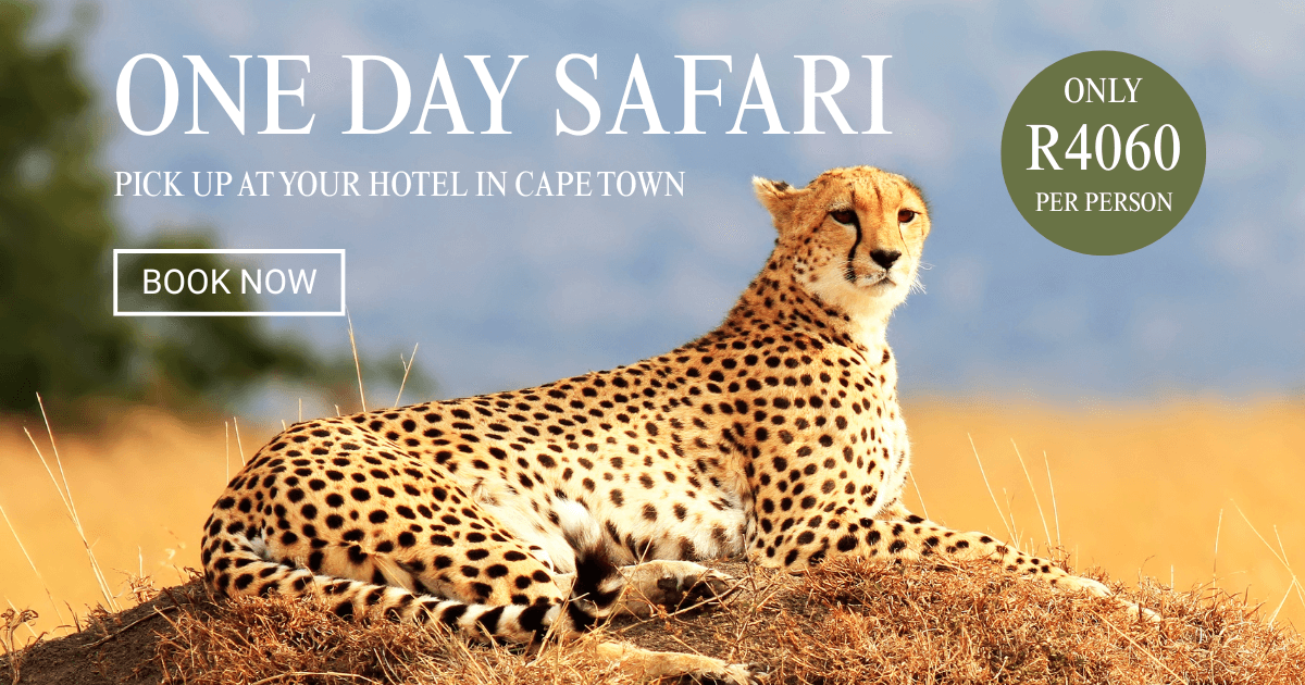 ONE DAY SAFARI (1)