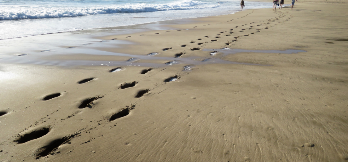 plettenberg-bay-beach